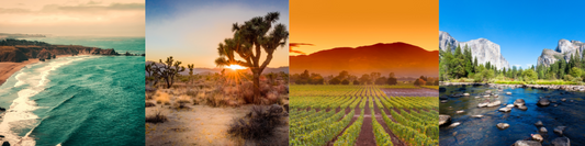 California's Geography & 4 Regions for Kids