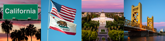 The California Government for Kids